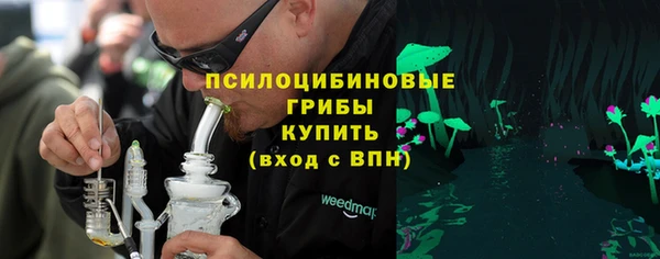 гидра Алексин