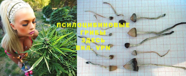 мет Алзамай