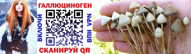 Галлюциногенные грибы Magic Shrooms купить наркотики цена Павловская